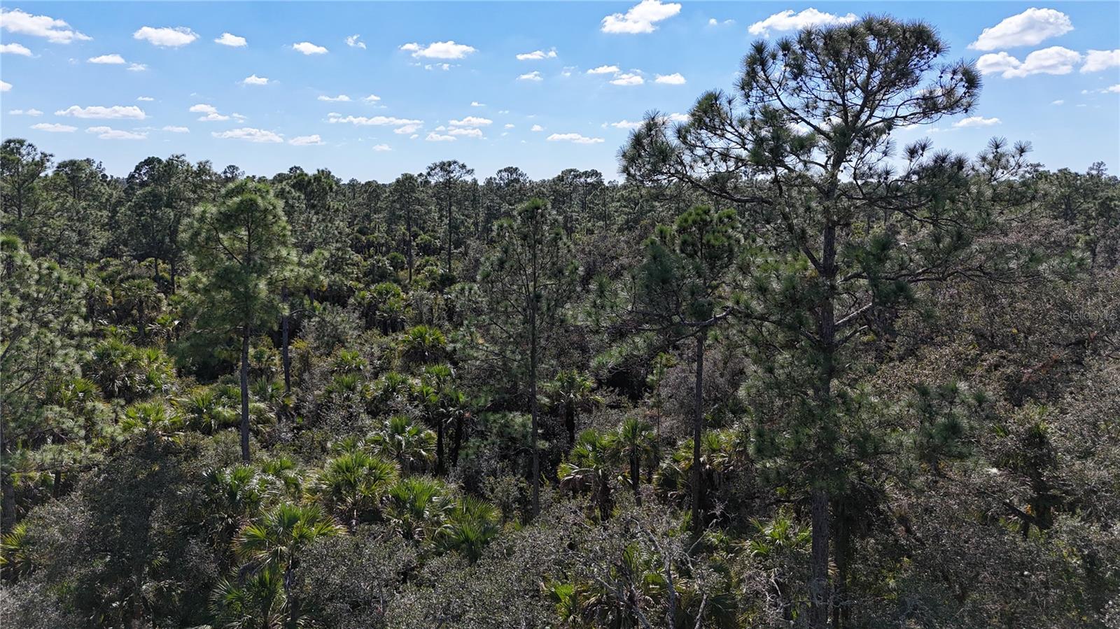 Image 16 of 49 For N-a