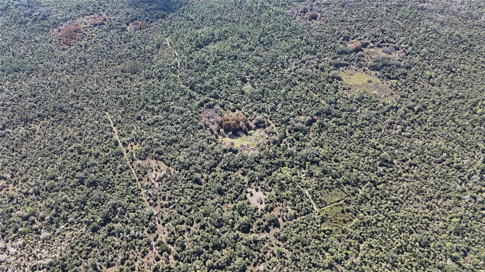 Image 17 of 49 For N-a