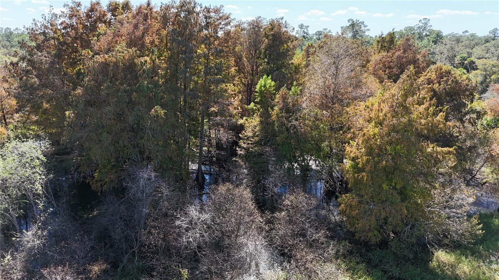 Image 23 of 49 For N-a