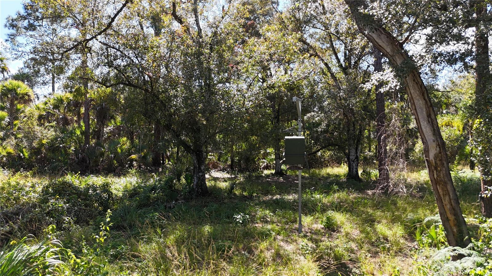 Image 26 of 49 For N-a