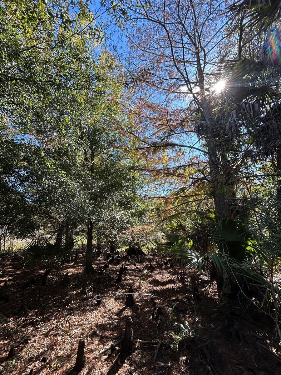 Image 28 of 49 For N-a