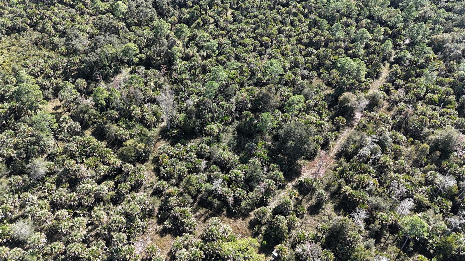 Image 29 of 49 For N-a