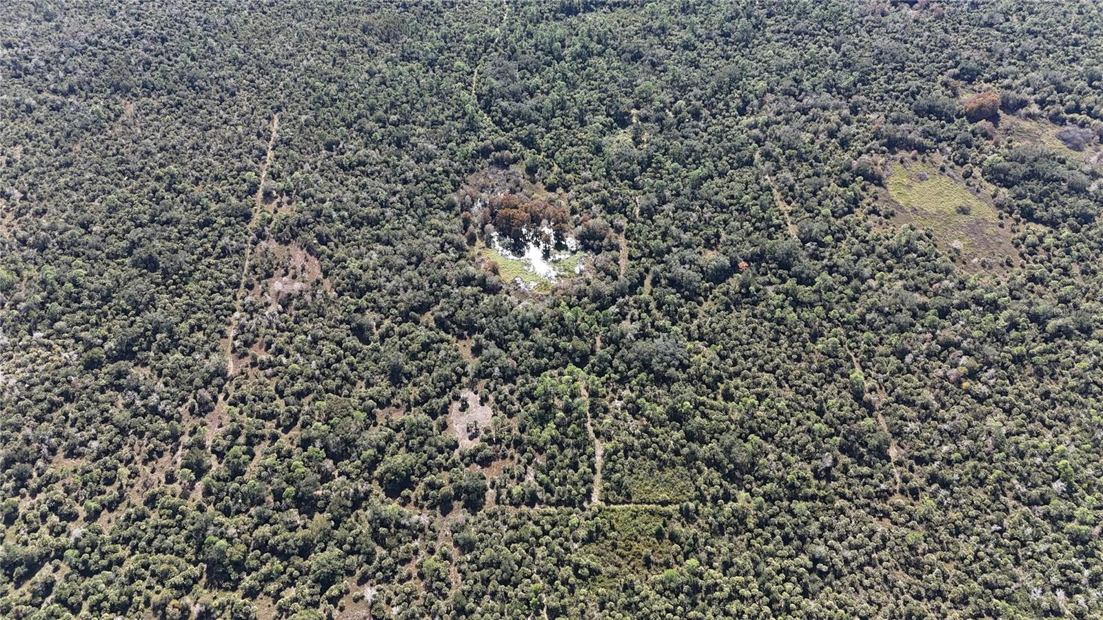 Image 3 of 49 For N-a