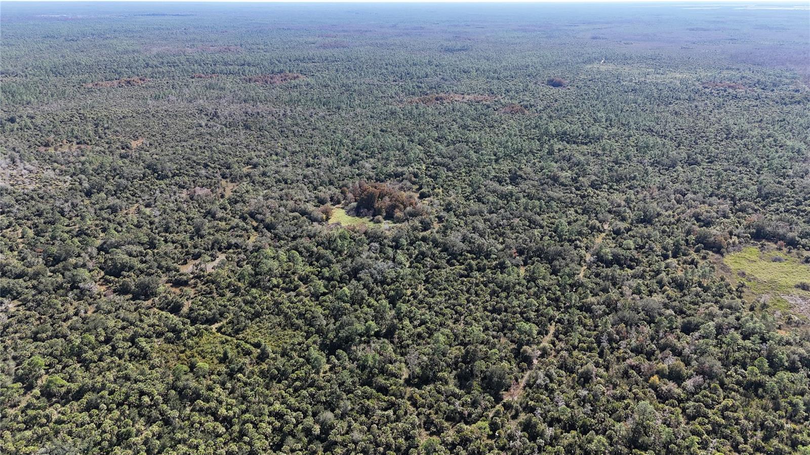 Image 31 of 49 For N-a