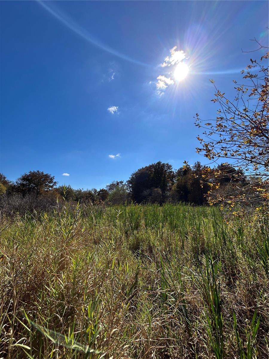 Image 32 of 49 For N-a