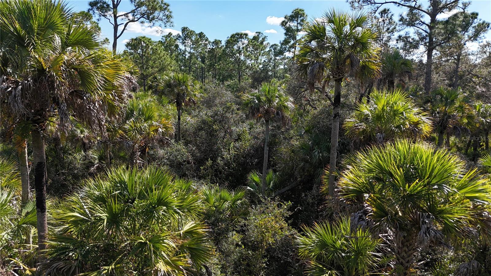 Image 37 of 49 For N-a