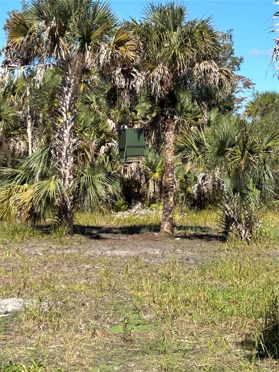 Image 4 of 49 For N-a