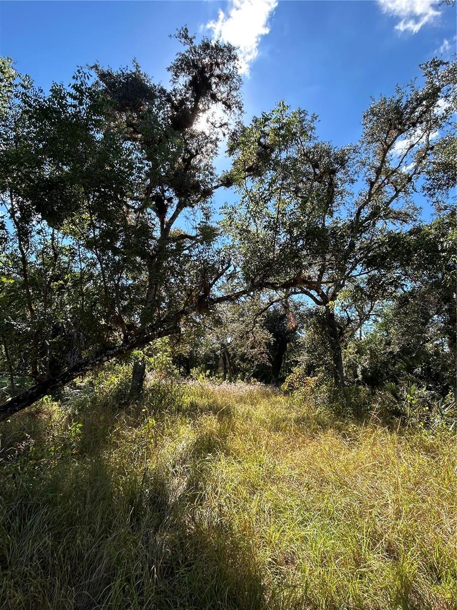 Image 42 of 49 For N-a