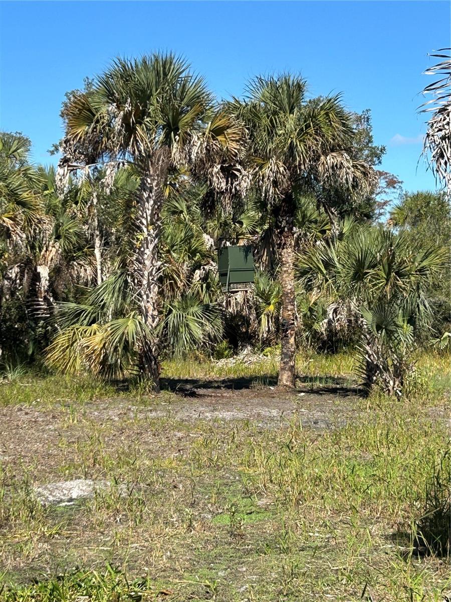 Image 43 of 49 For N-a