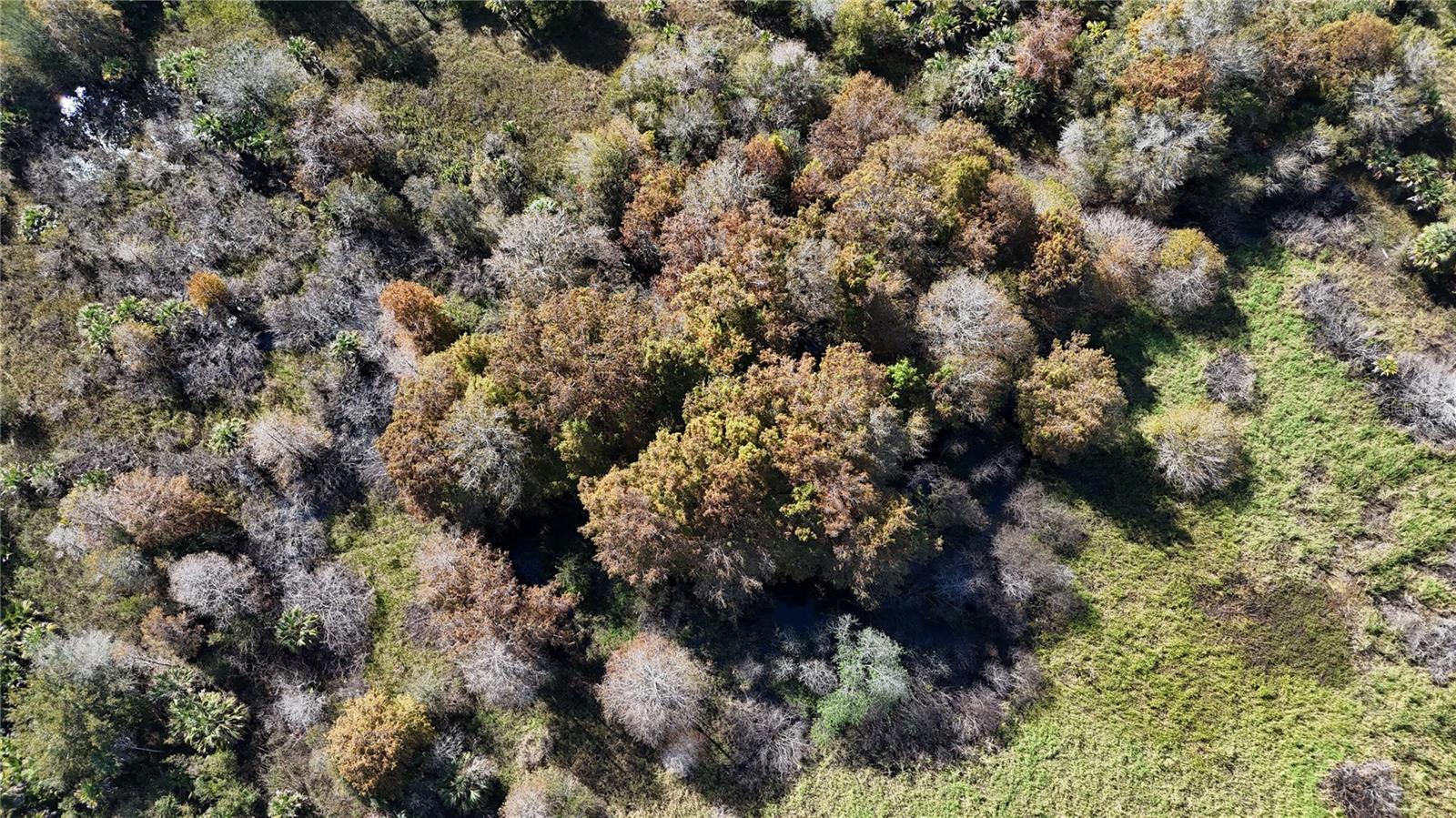 Image 45 of 49 For N-a