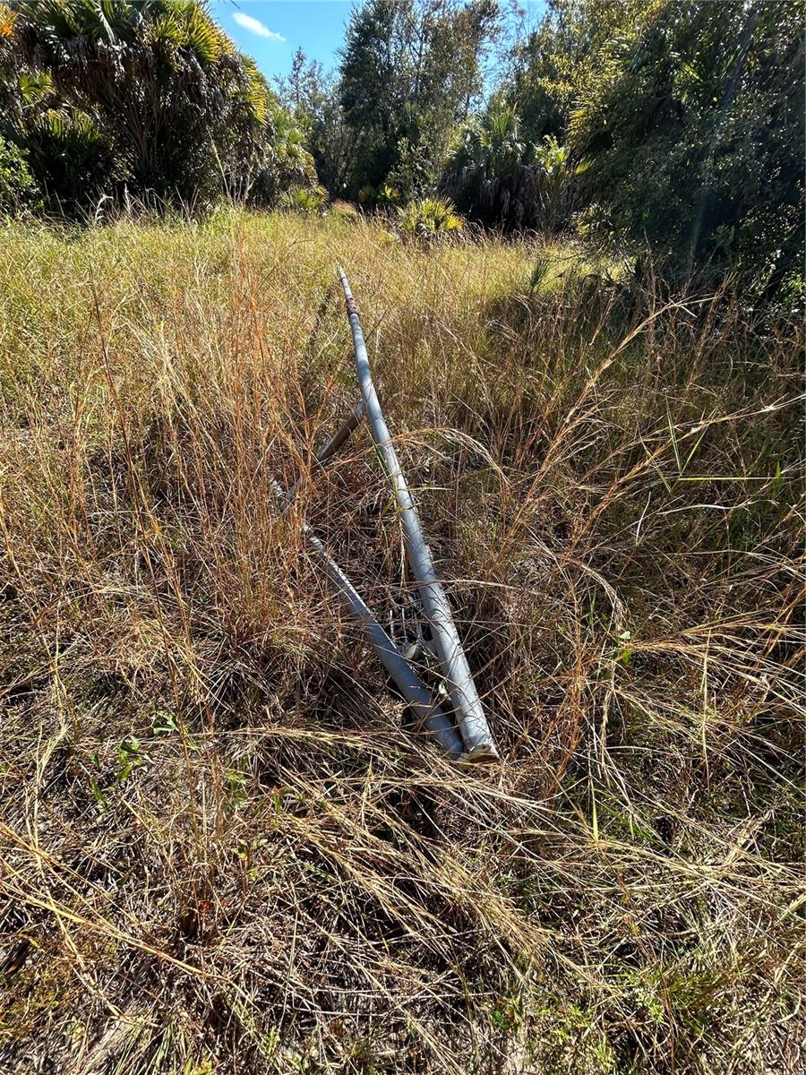 Image 48 of 49 For N-a