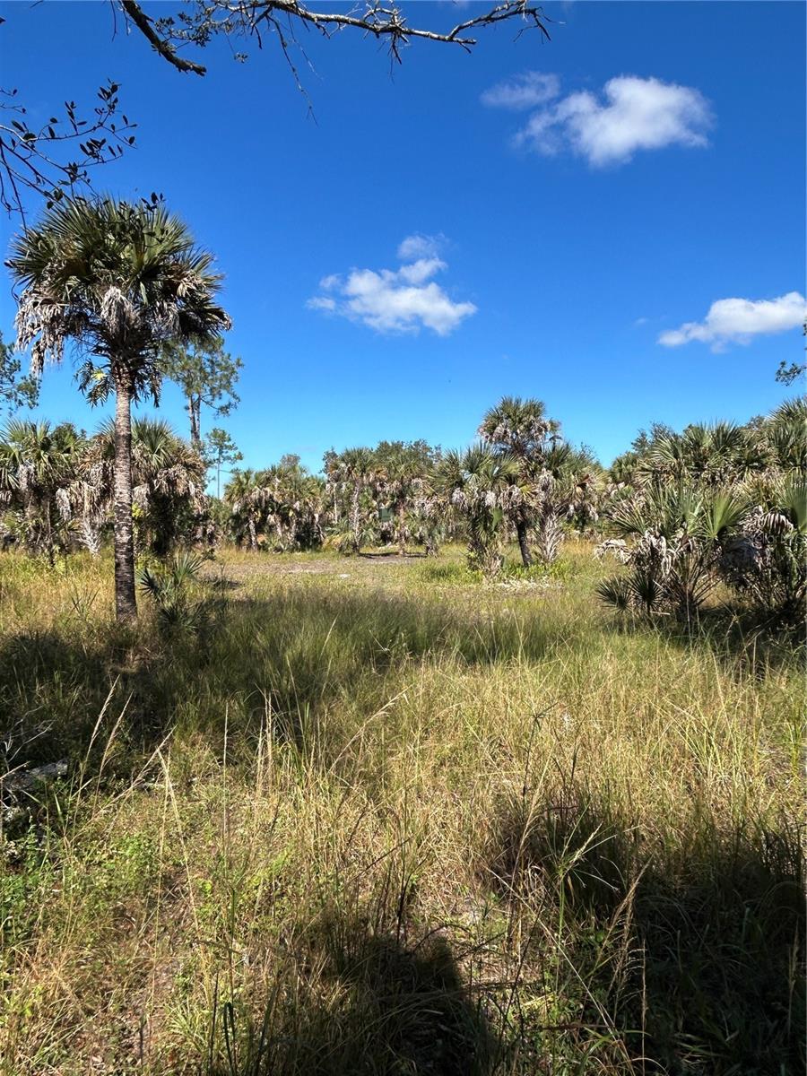 Image 5 of 49 For N-a