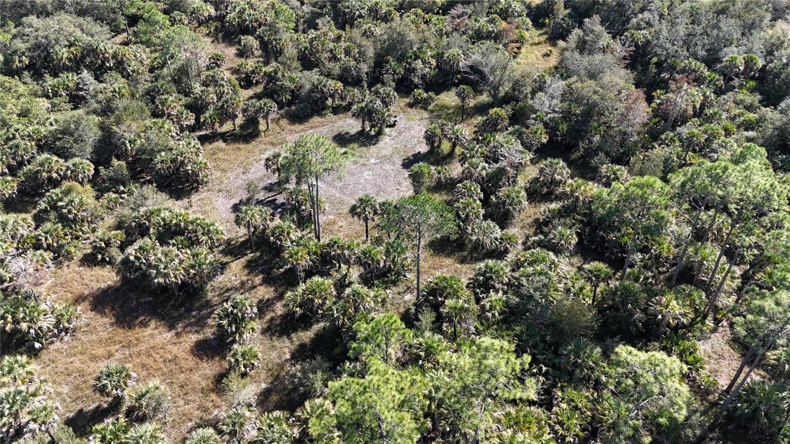 Image 6 of 49 For N-a