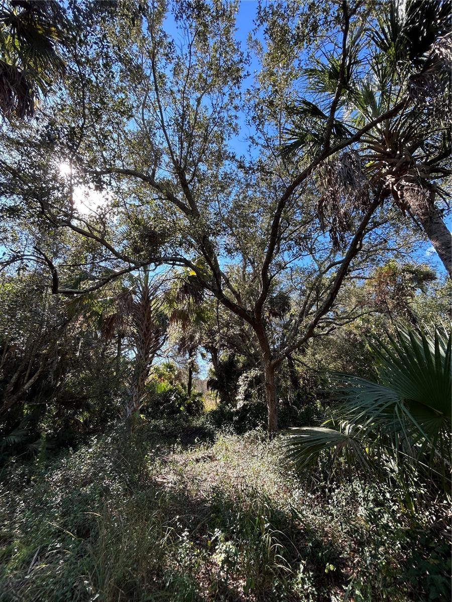 Image 8 of 49 For N-a