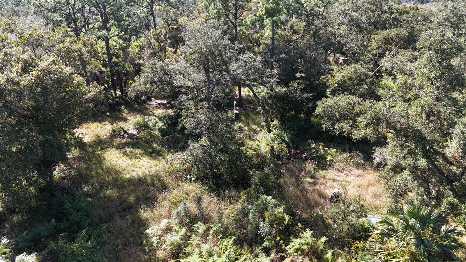 Image 9 of 49 For N-a