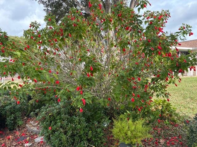 Image 52 of 52 For 17747 97th Avenue