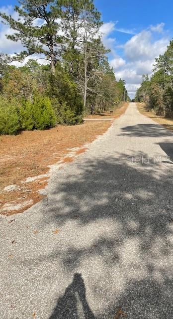 Listing photo id 0 for 0 139 Court 