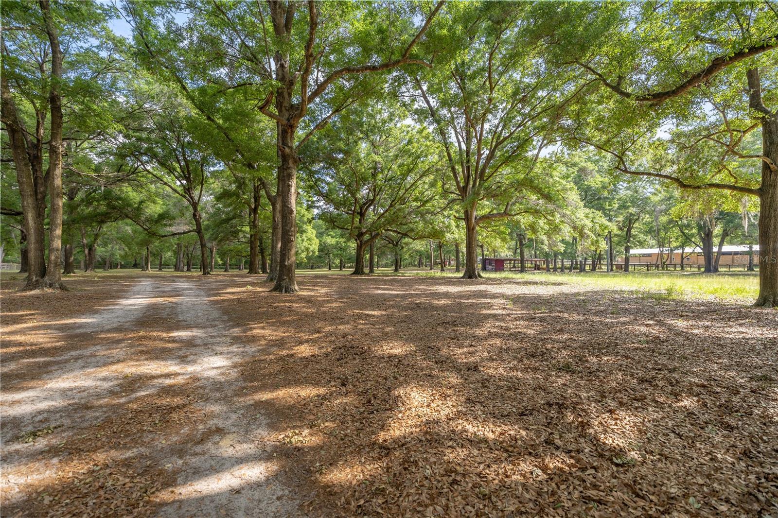 Image 14 of 45 For 8587 34th Place