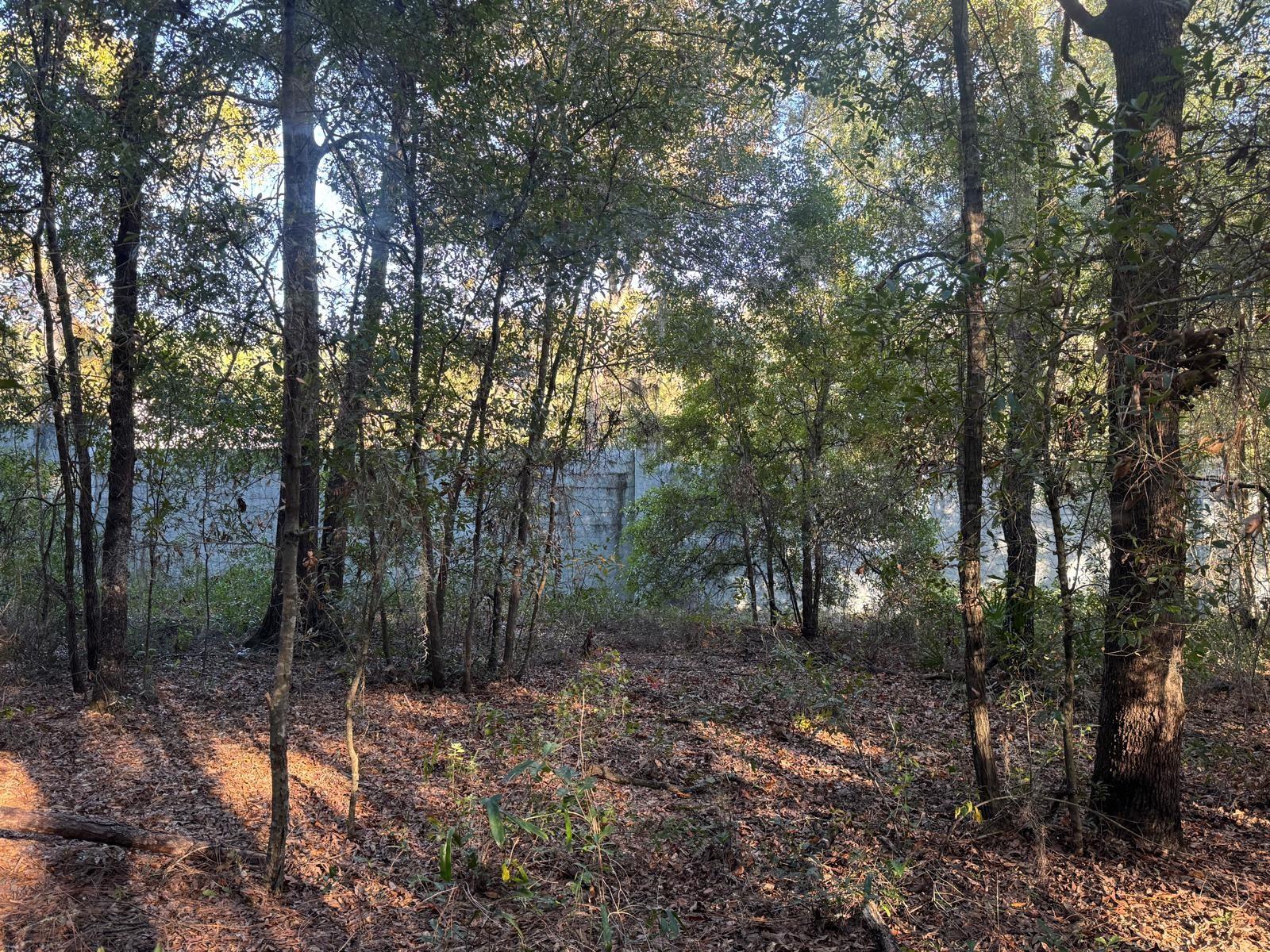 Image 2 of 6 For  66 Street 