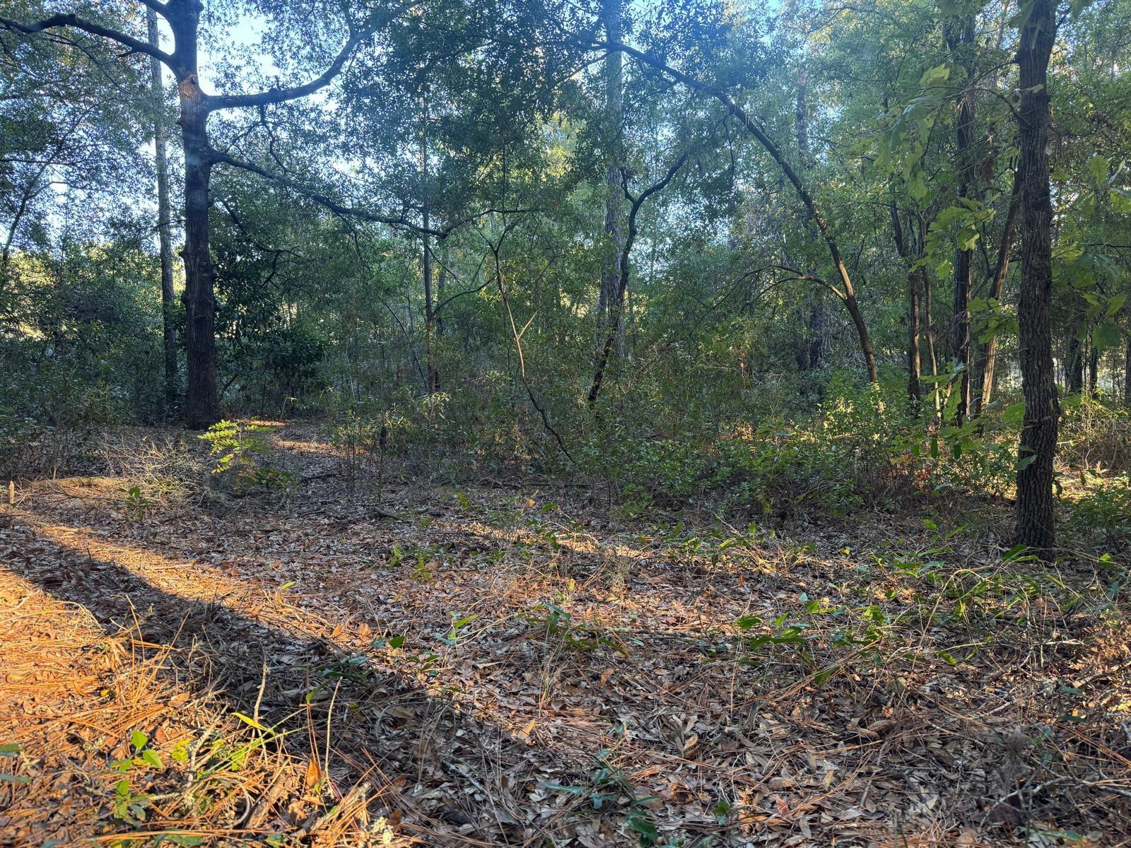 Image 3 of 6 For  66 Street 