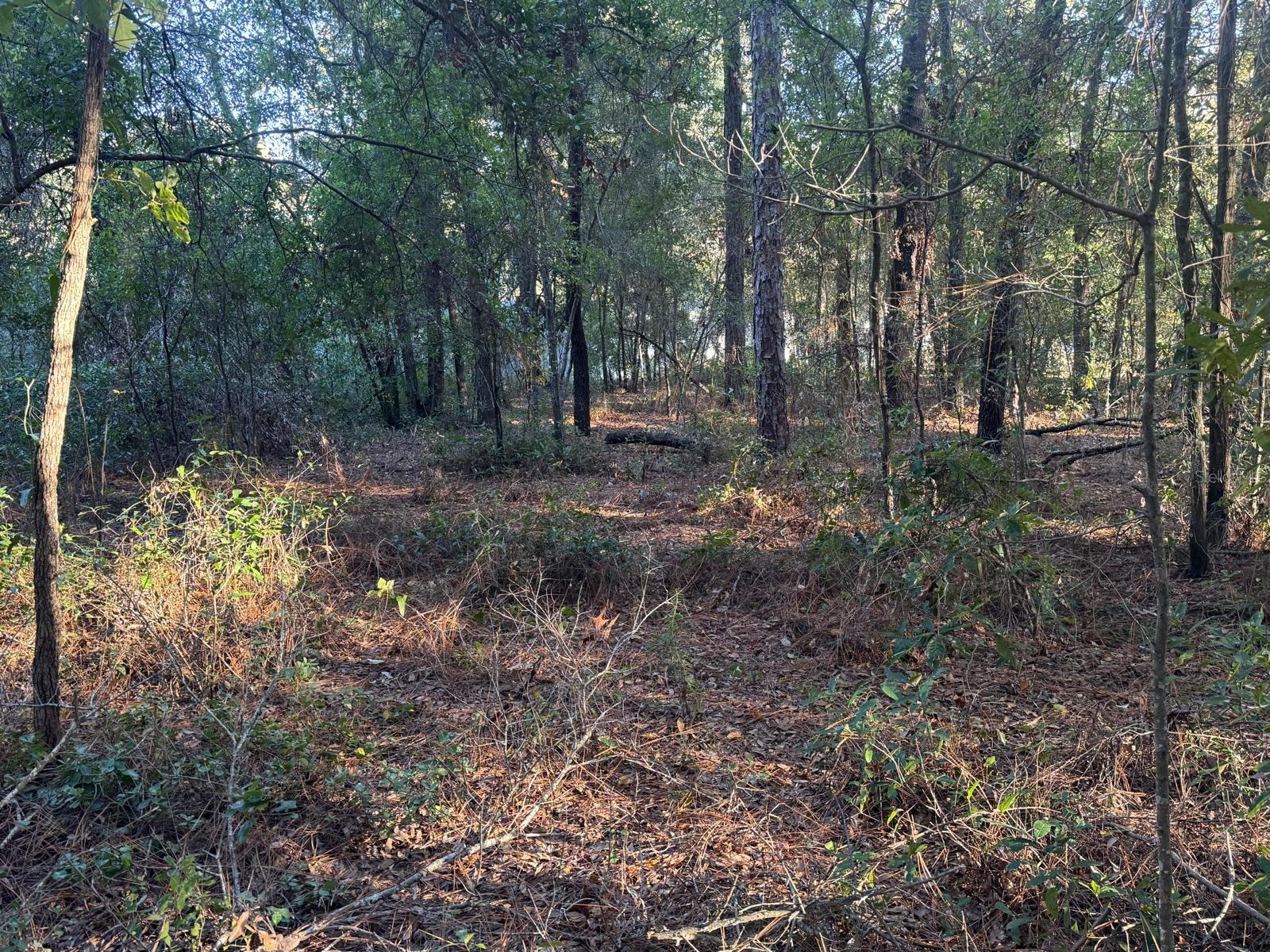 Image 4 of 6 For  66 Street 