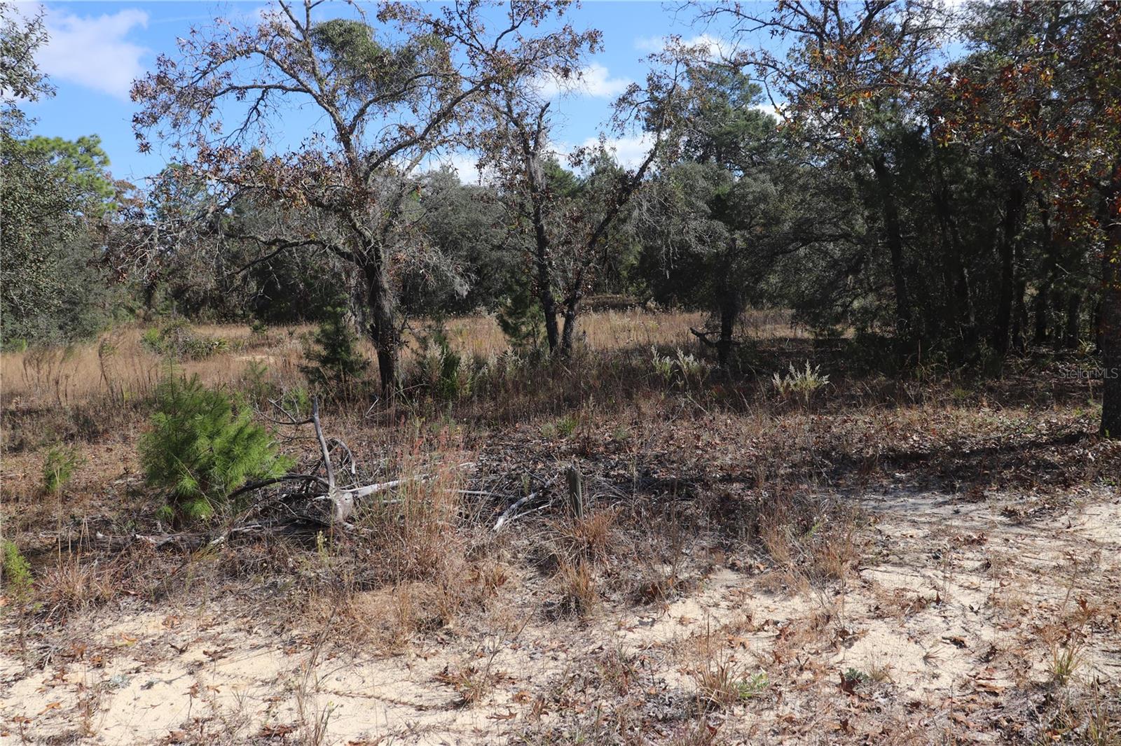 Image 2 of 9 For 9097 Peewee Point