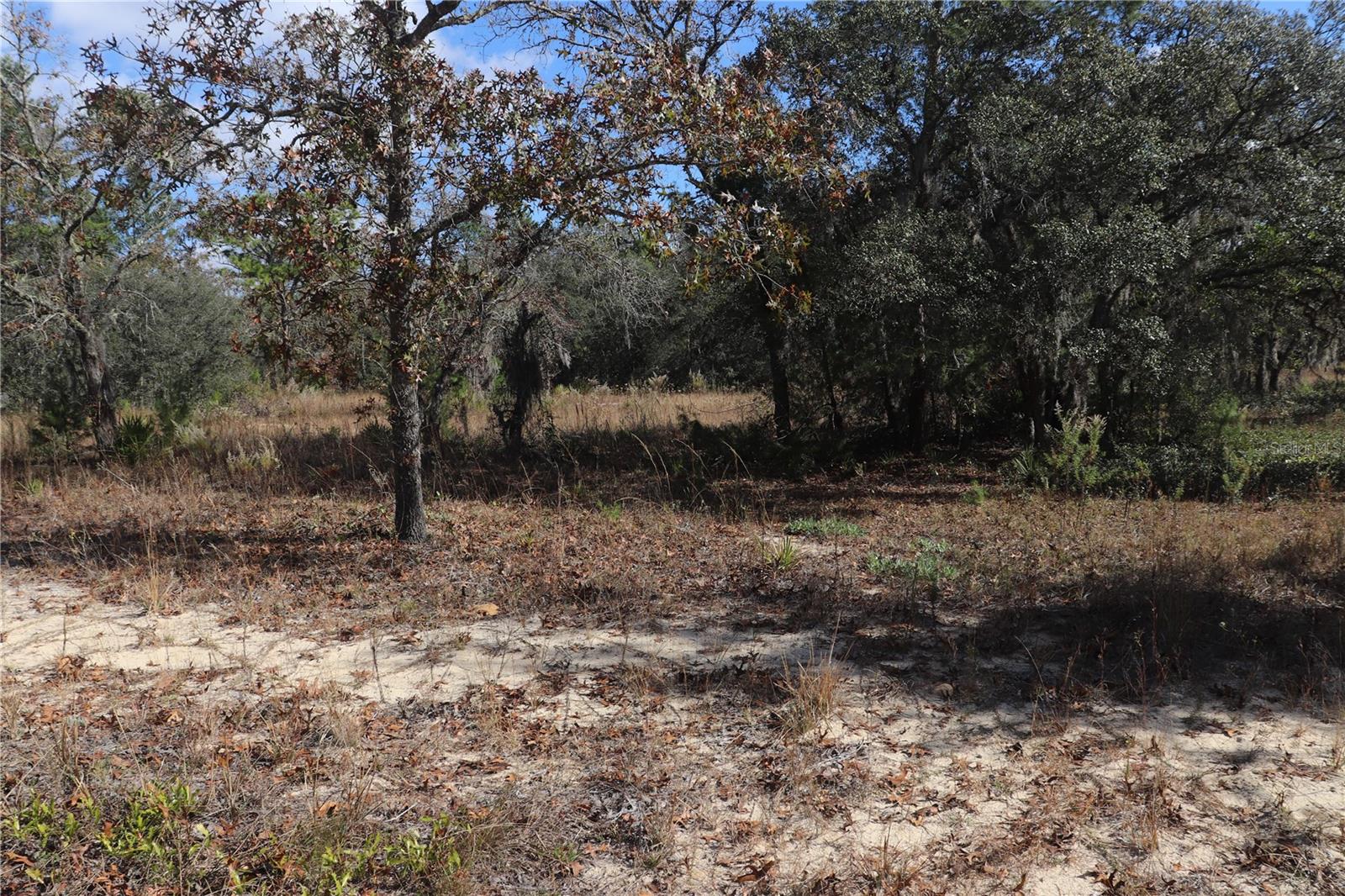 Image 3 of 9 For 9097 Peewee Point