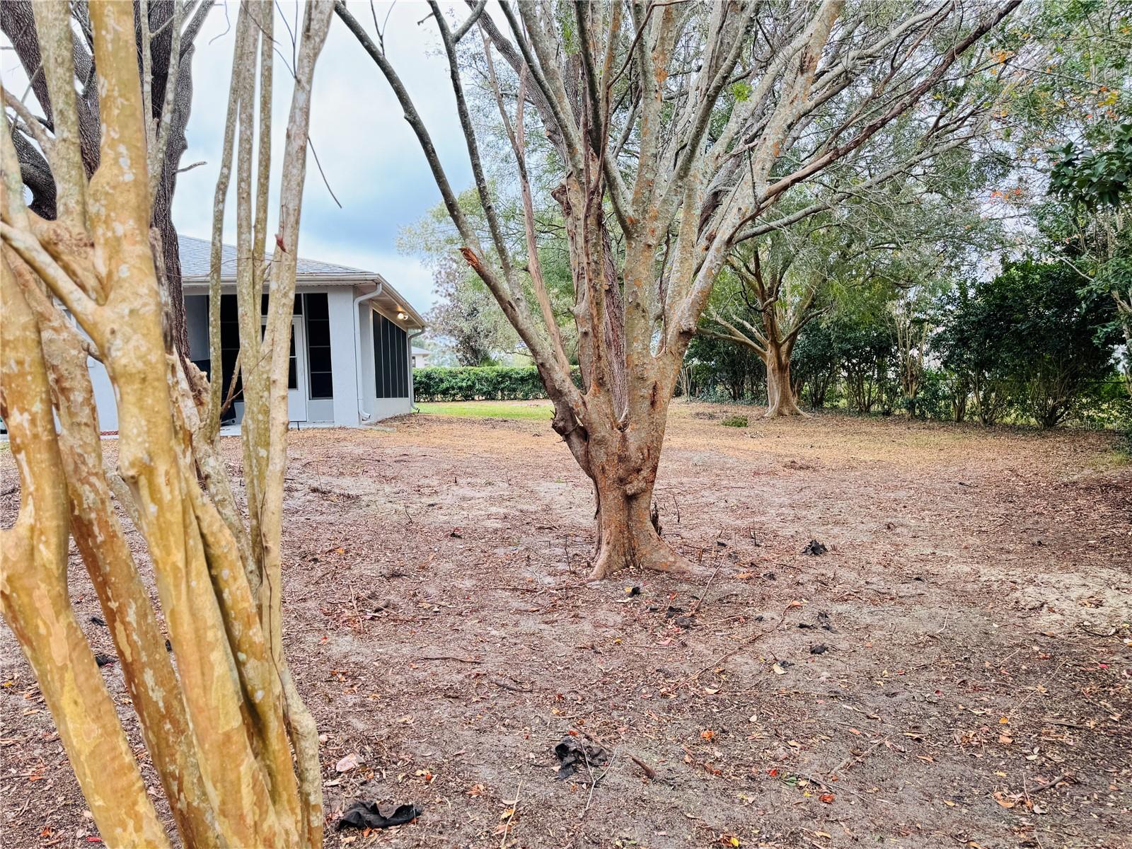 Image 38 of 46 For 6184 100th Loop