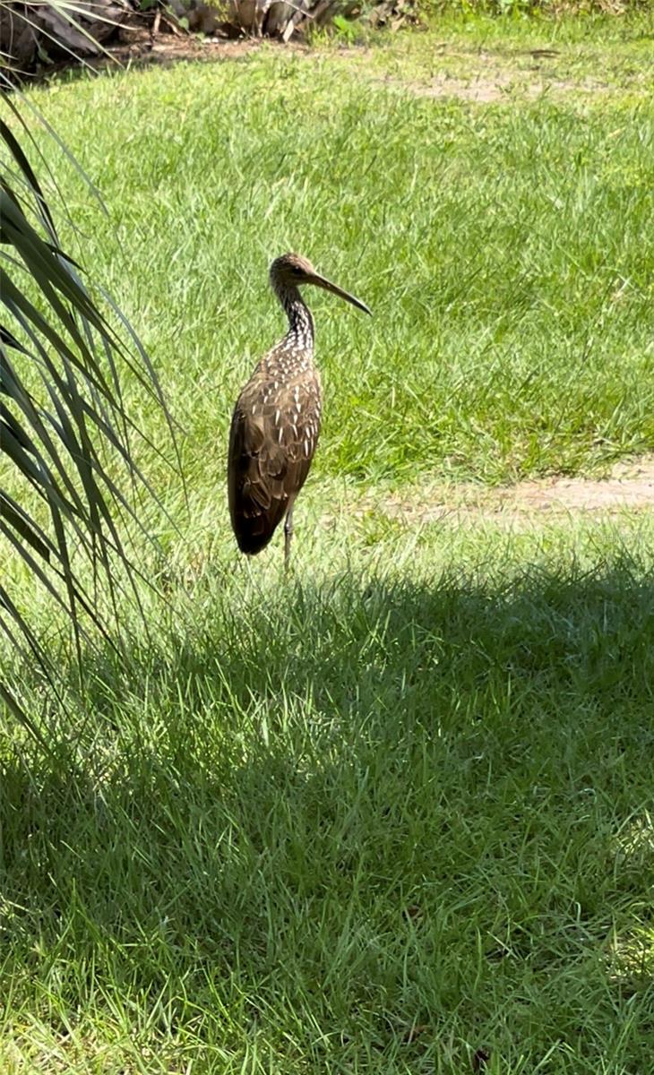 Image 50 of 51 For 5915 Avenue F