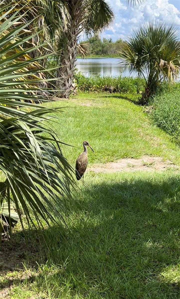 Image 51 of 51 For 5915 Avenue F