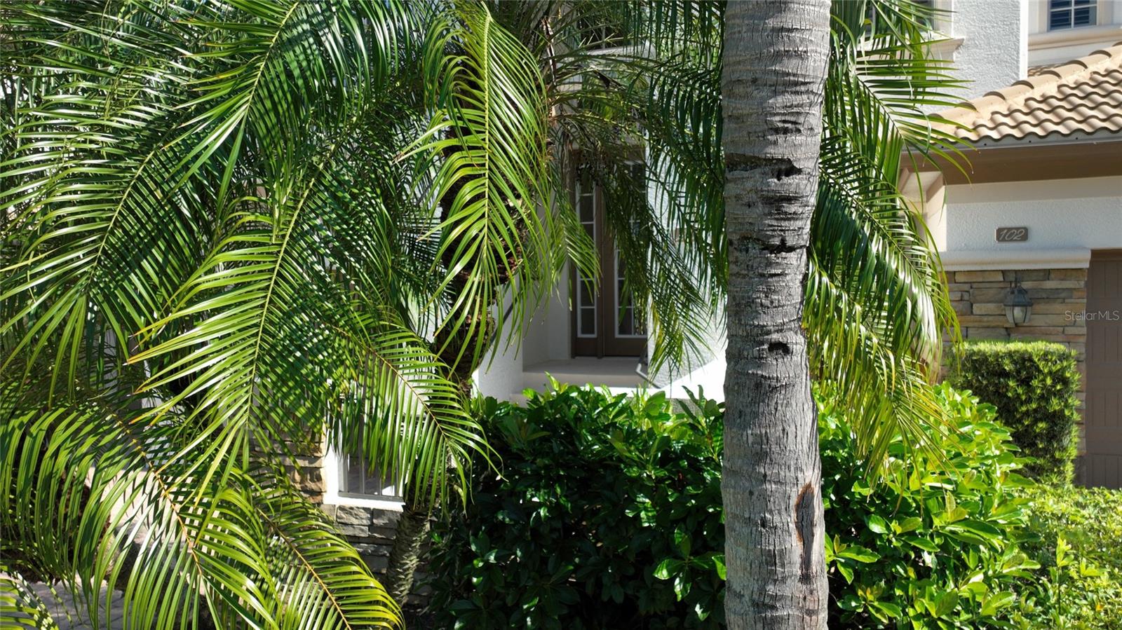 Image 54 of 55 For 8051 Players Cove Drive 202