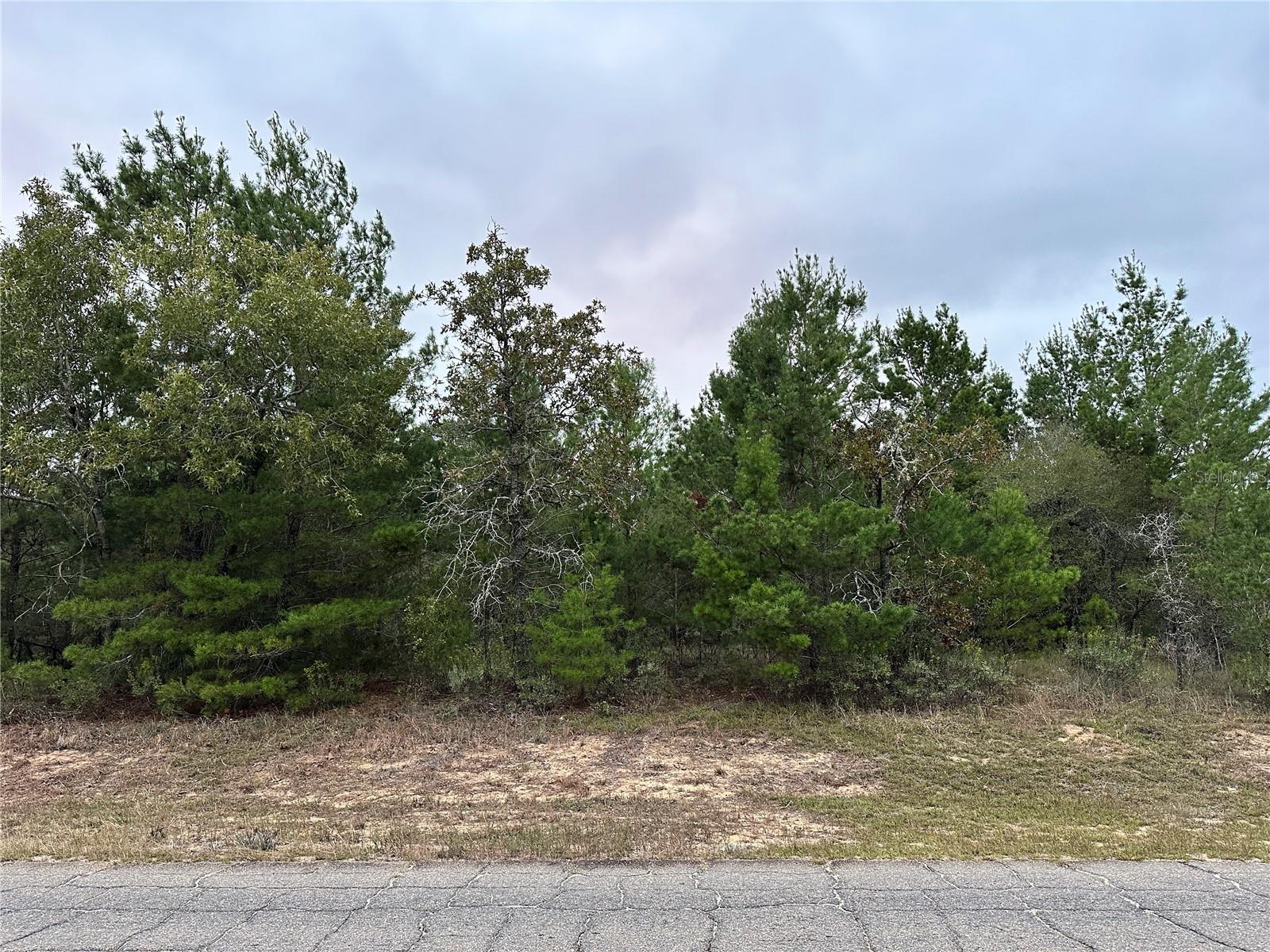 Image 5 of 5 For 0 Colmart Drive