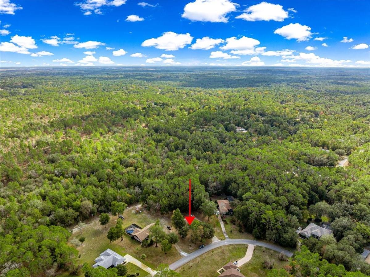 Image 60 of 62 For 21595 84th Loop