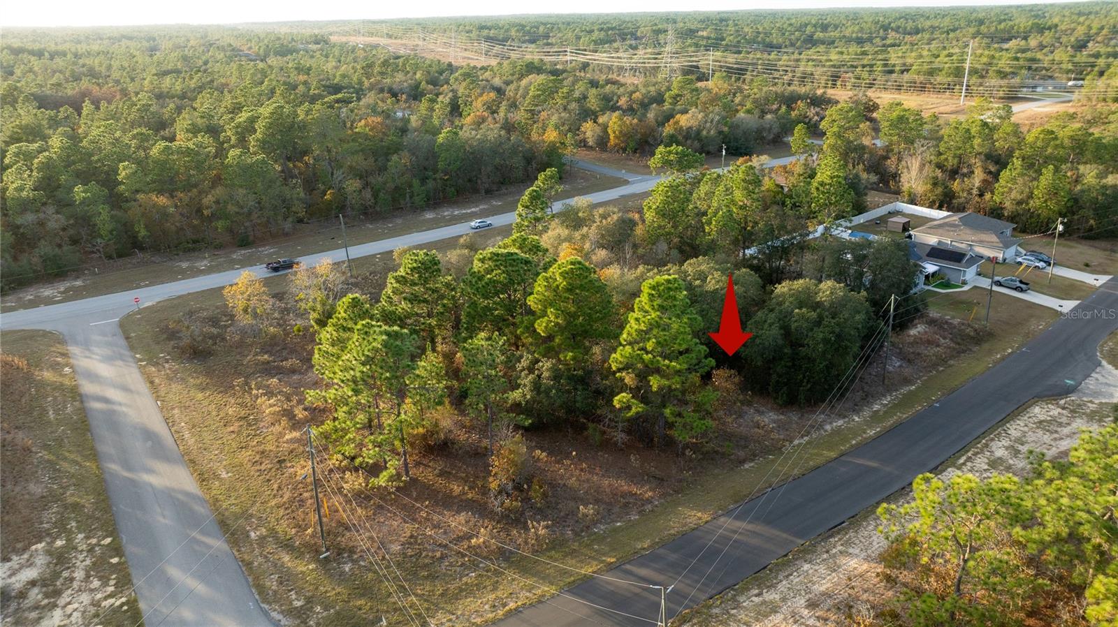 Listing photo id 8 for 2567 Wilmington Loop