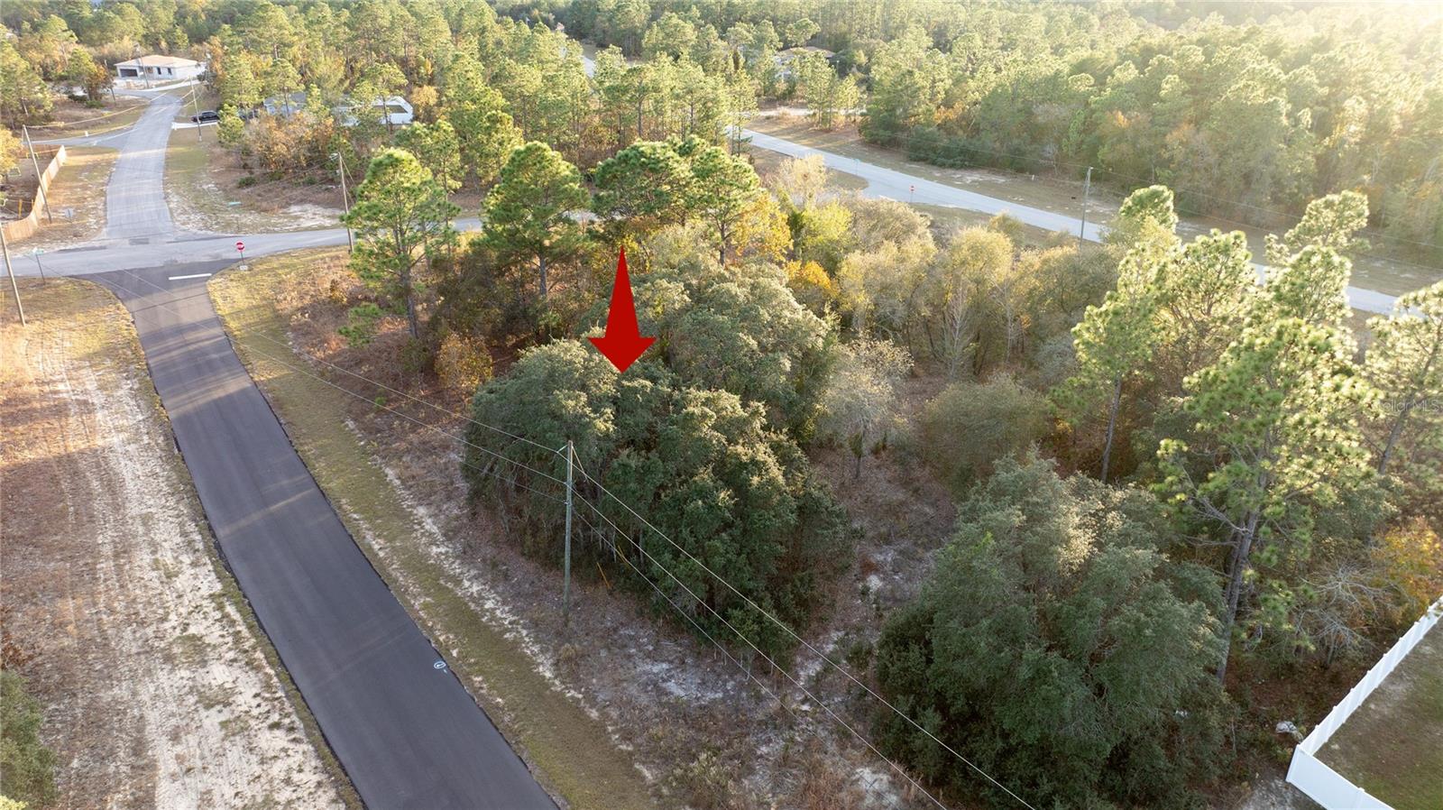 Listing photo id 9 for 2567 Wilmington Loop