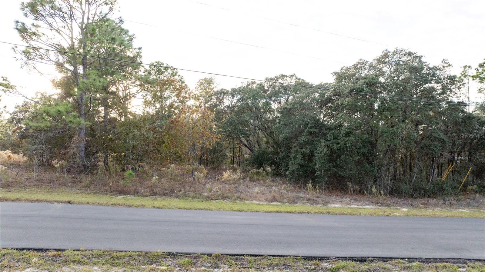 Listing photo id 10 for 2567 Wilmington Loop