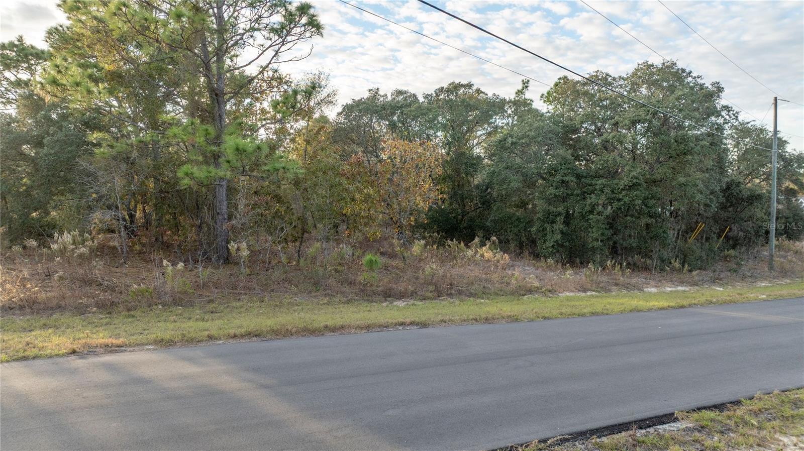 Listing photo id 11 for 2567 Wilmington Loop