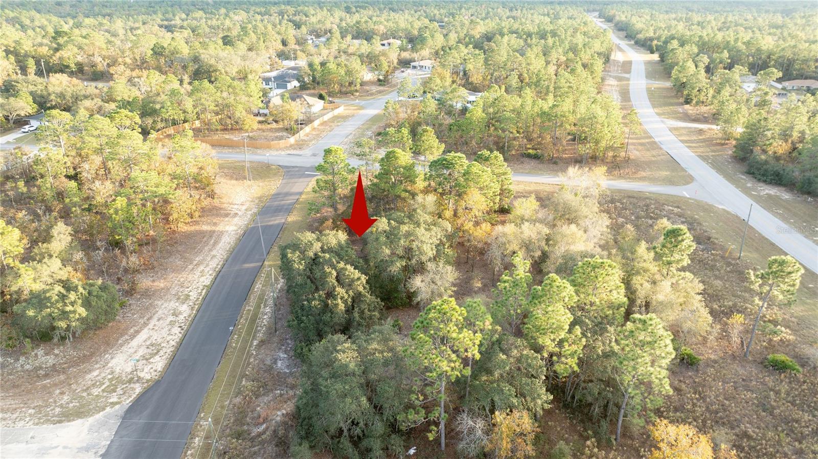 Listing photo id 4 for 2567 Wilmington Loop