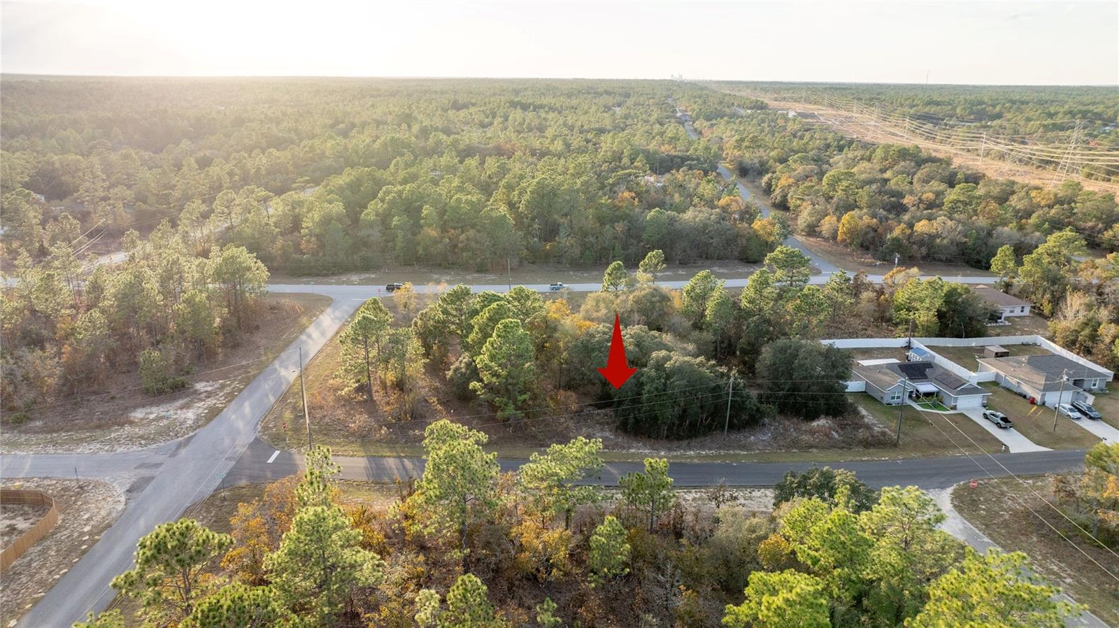 Listing photo id 6 for 2567 Wilmington Loop