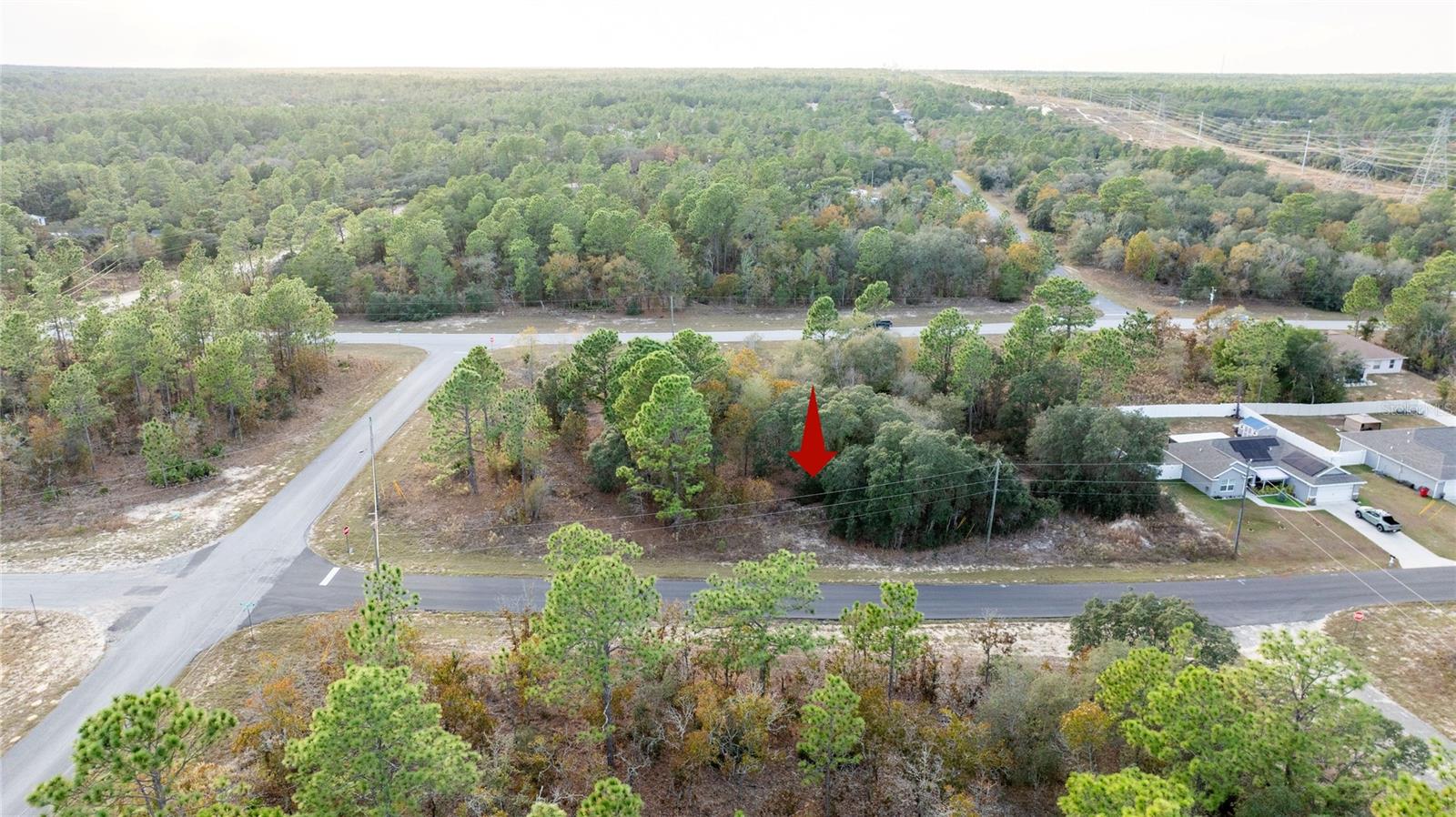 Listing photo id 7 for 2567 Wilmington Loop