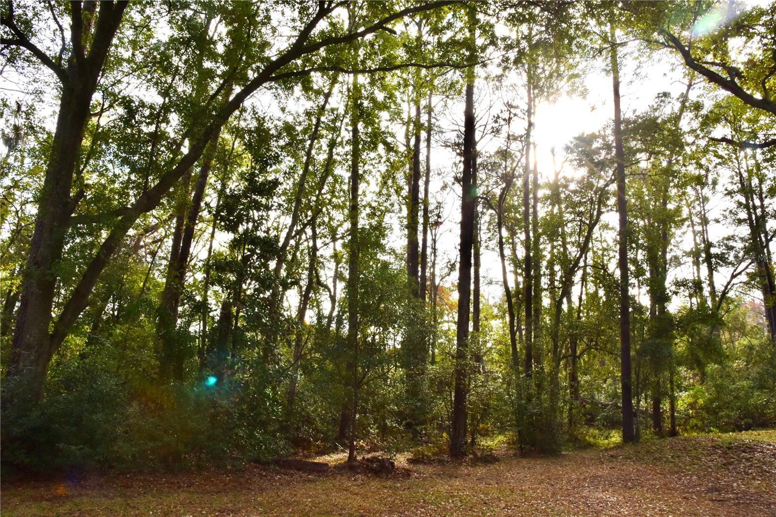 Image 23 of 34 For 8230 Lenox Avenue