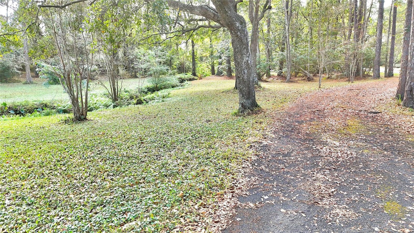 Image 6 of 34 For 8230 Lenox Avenue