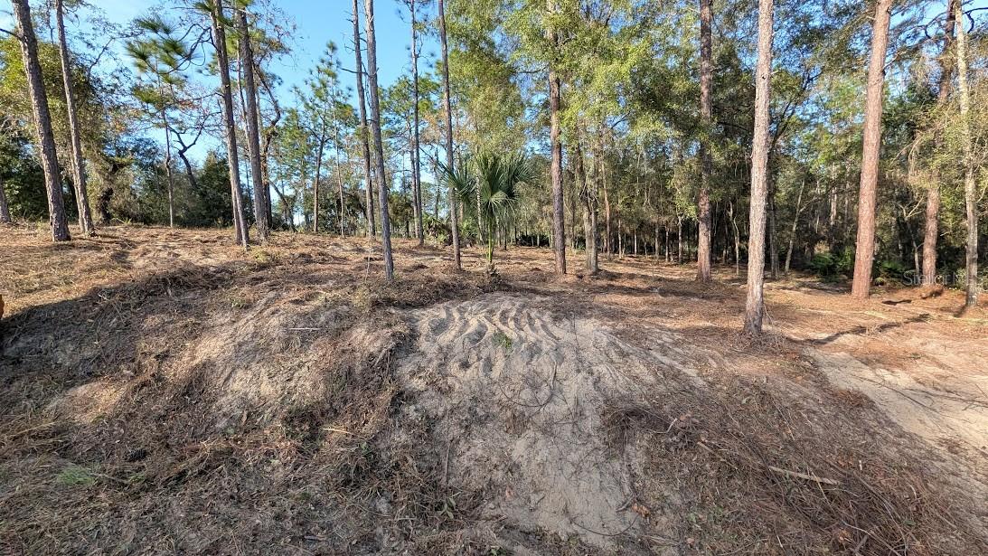 Image 4 of 13 For  53rd Street 