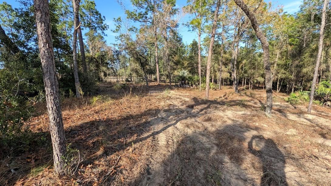 Image 5 of 13 For  53rd Street 