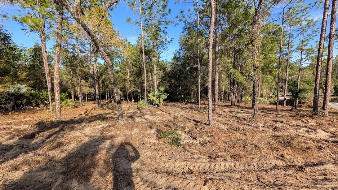 Image 6 of 13 For  53rd Street 