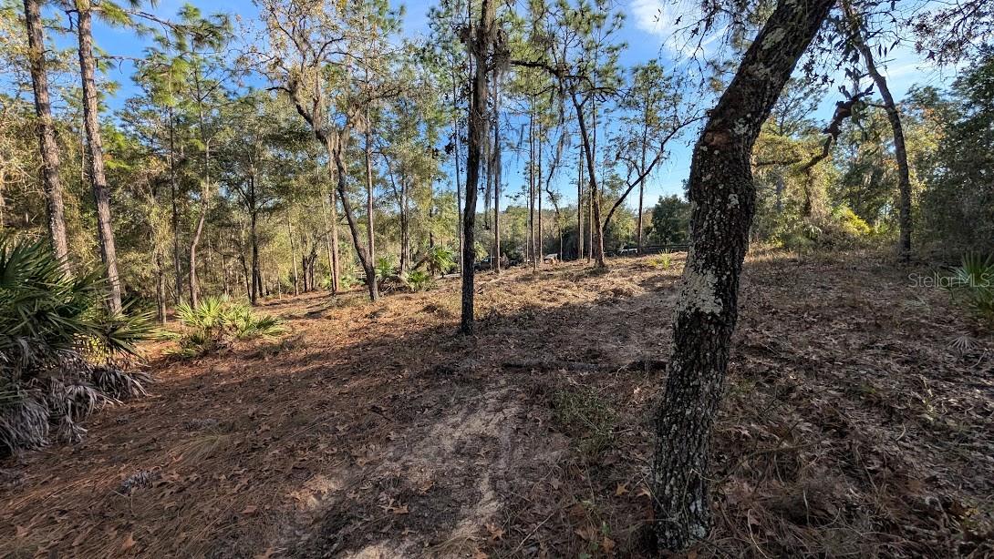 Image 8 of 13 For  53rd Street 