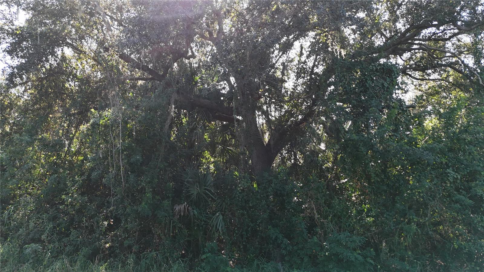 Image 12 of 20 For 29359 Nottingham Road