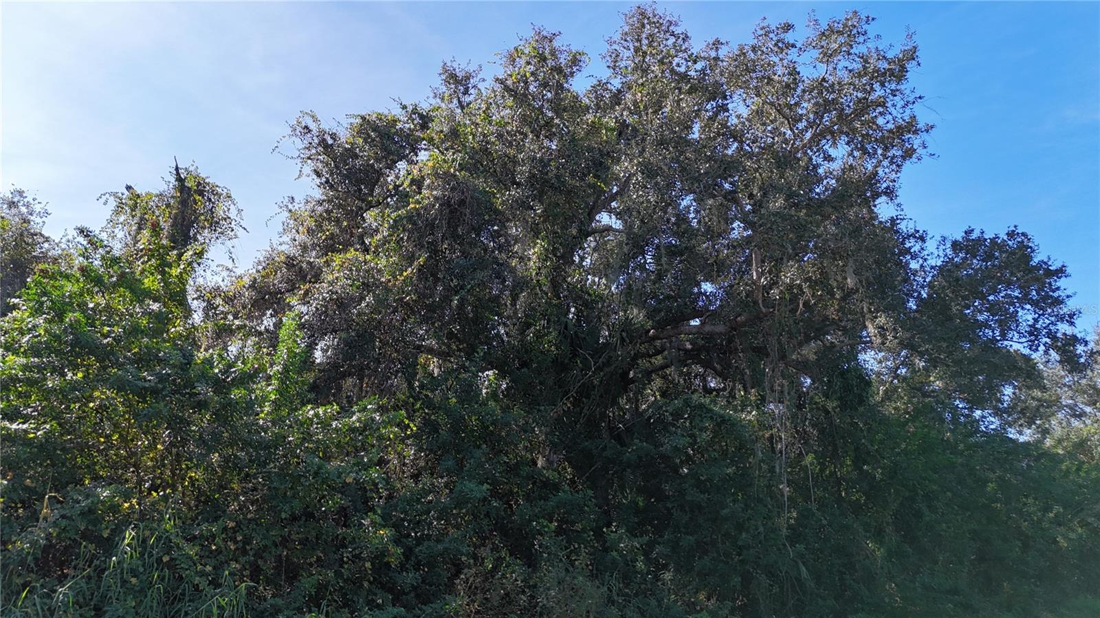 Image 17 of 20 For 29359 Nottingham Road