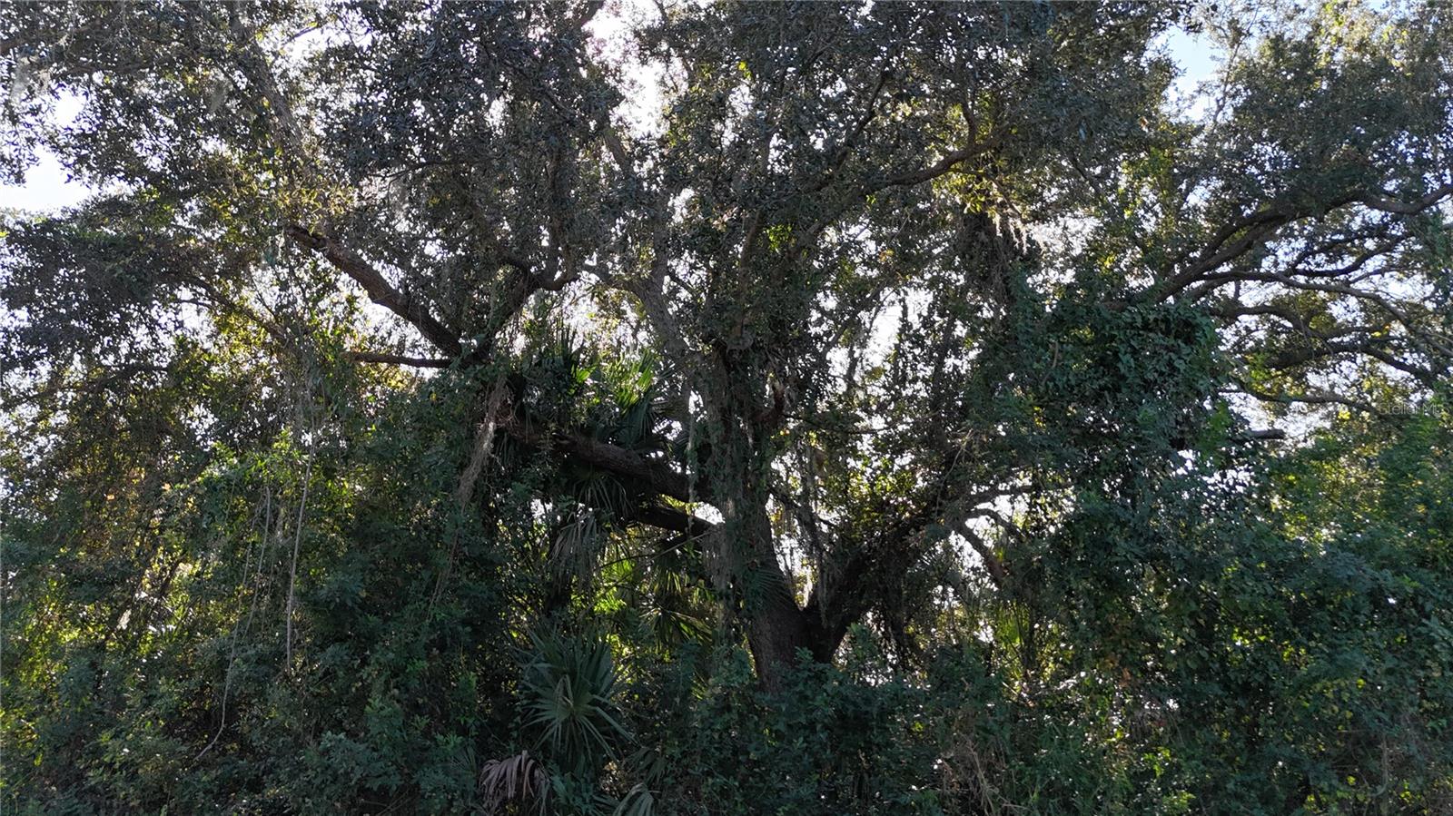 Image 19 of 20 For 29359 Nottingham Road