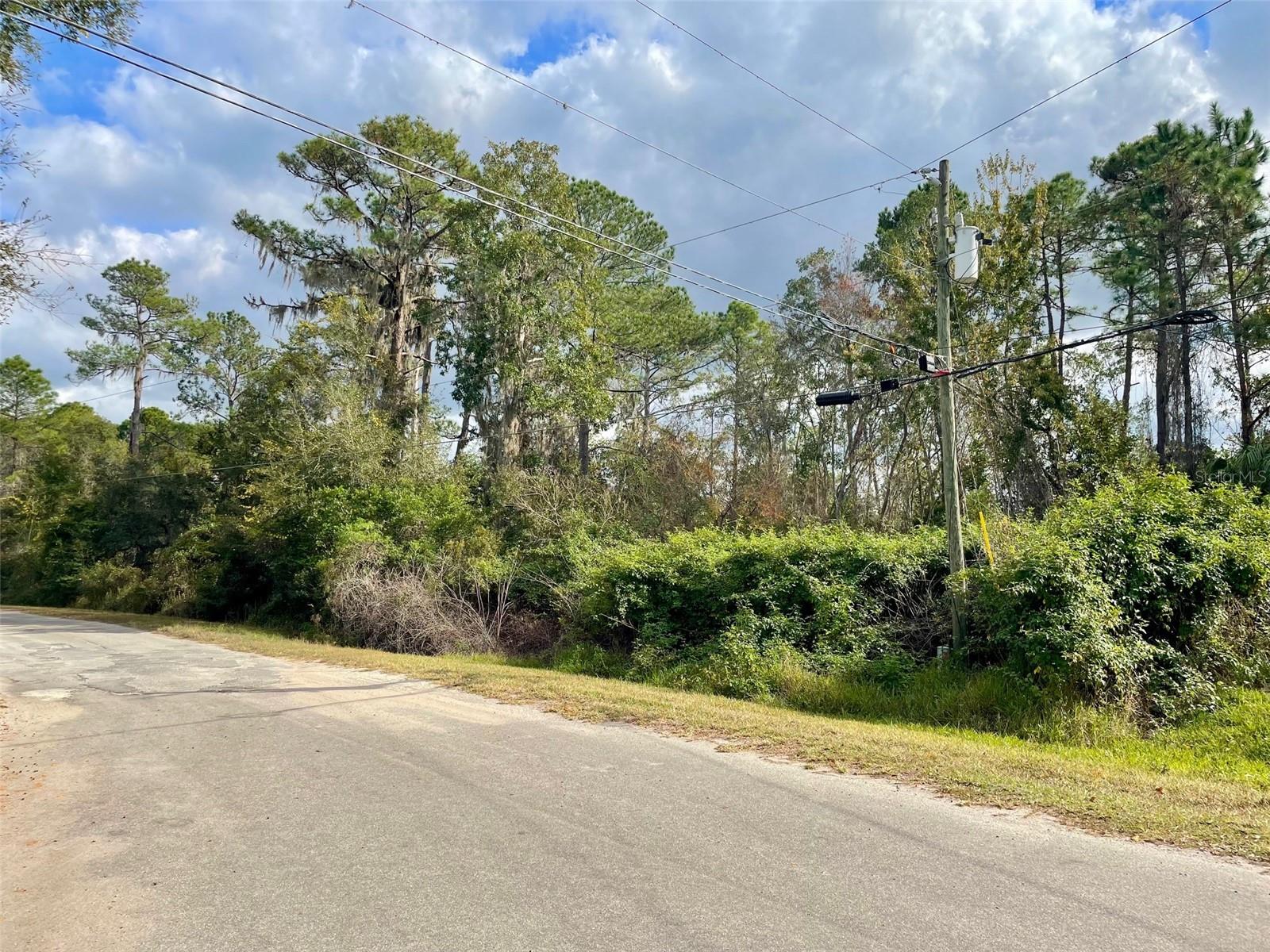Details for 000 Fisher Run, OCKLAWAHA, FL 32179